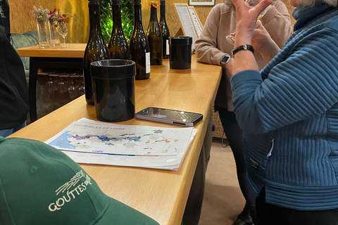 Educational hike in the Anjou vineyards Wine Hike