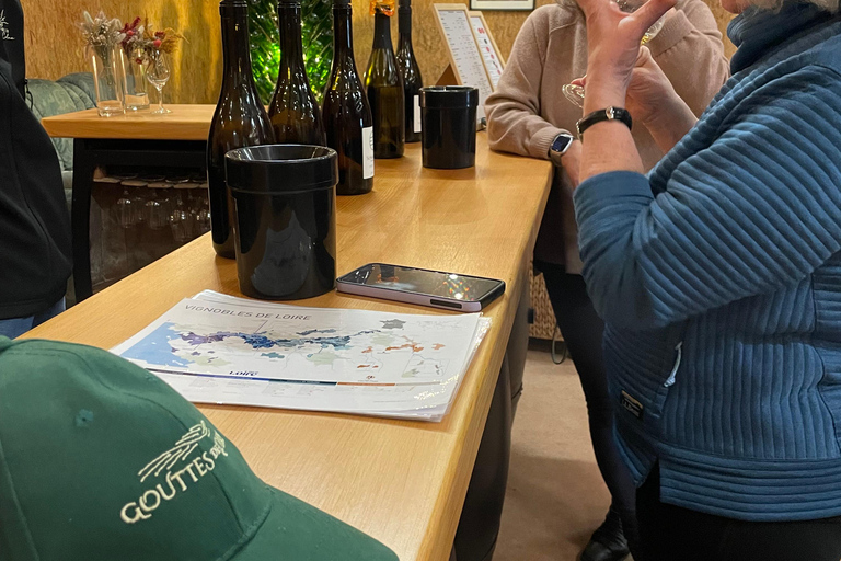 Educational hike in the Anjou vineyards Wine Hike