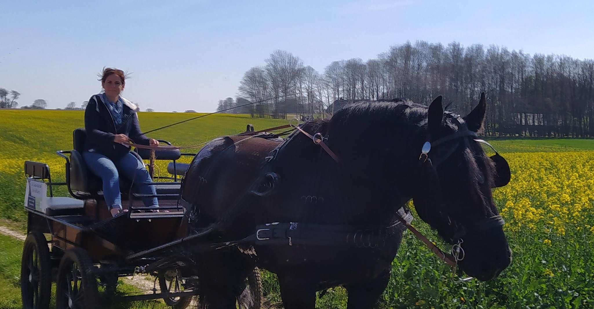 Mentheville, promenade en calèche à la campagne - Housity