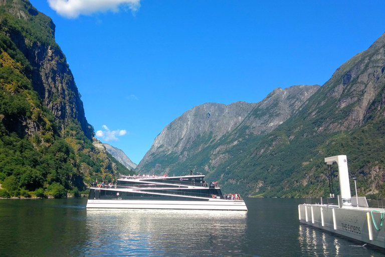 Full day private tour to Flåm