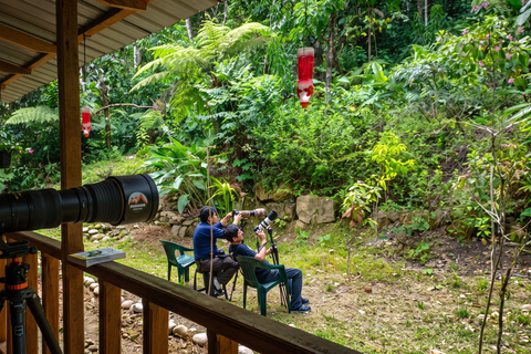 From Cusco: 4-Day Manu Cloud Forest Birdwatching Tour