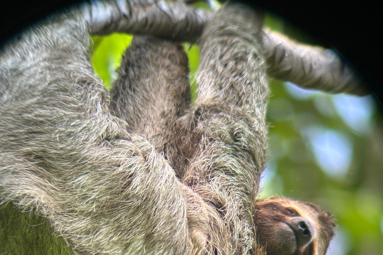 Manuel Antonio national park