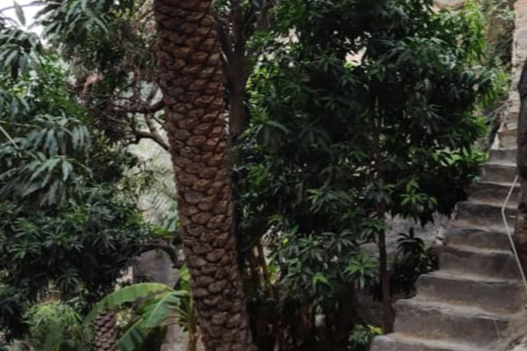Muscat: Wadi Tiwi, Mibam, Frankincense Tree & Beach Tour