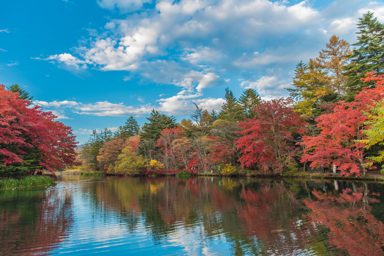 Excursão de um dia ao Santuário Hyland de Karuiizawa Koedo KawagoeSaída Norte de Marunouchi