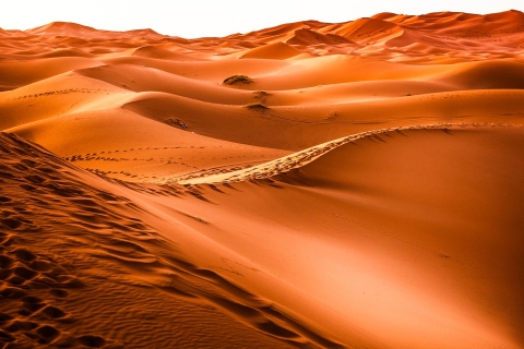 Dubái: safari por las dunas rojas, paseos en camello, sandboard y barbacoaTour compartido por las Dunas Rojas con barbacoa (7 horas)