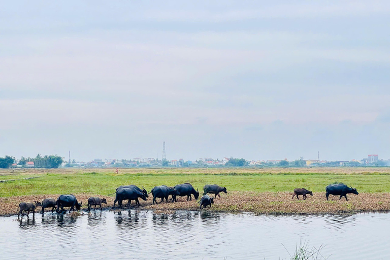 Hoi An: Countryside Bicycle Tour with Farm, Basket Boat Ride