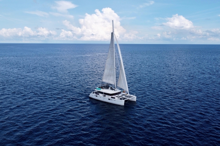 Nassau: Cena gourmet y crucero al atardecer en catamarán de lujo