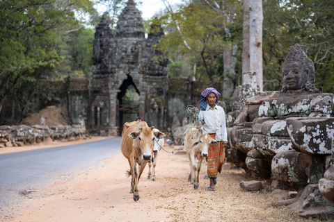 Tour della Cambogia; Antico splendore | 3 giorni