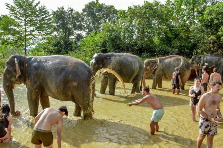 Phuket: Elephant Sanctuary Visit with Mud Spa & Workshop Afternoon: Elephant Sanctuary Visit with Mud Spa & Workshop