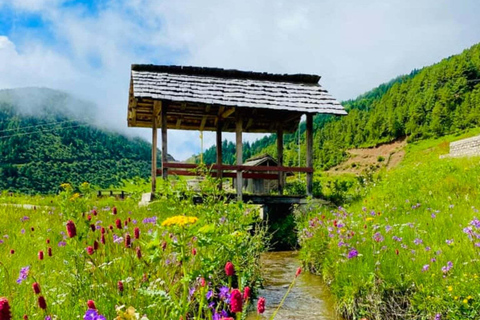 Pokhara: Dhorpatan 2-Day Jeep Tour with lady Guide Pokhara: Dhorpatan 2-Day sharing jeep Tour with lady Guide