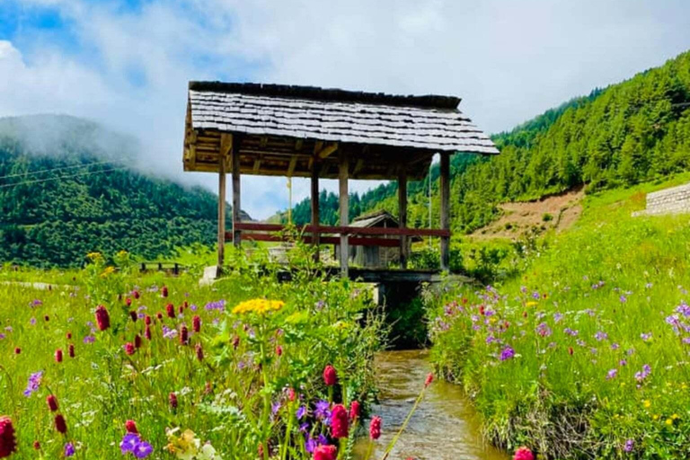 Pokhara: Dhorpatan 2-Day Jeep Tour with lady Guide Pokhara: Dhorpatan 2-Day sharing jeep Tour with lady Guide