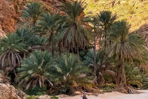 Muscat: Wadi Shab, Fins Beach & Bimmah Sinkhole 4x4 Tour Shared 4x4 Tour