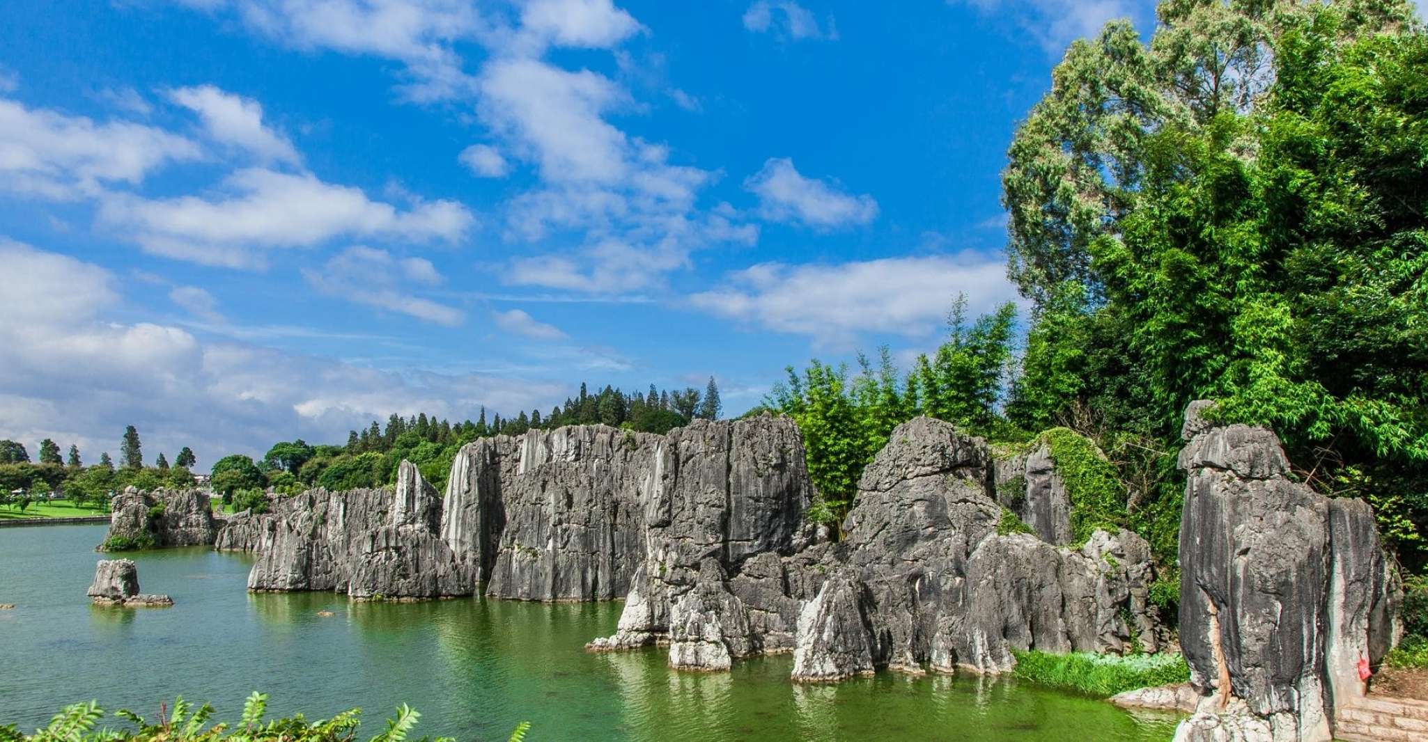 Private tour to Kunming Stone forest - Housity