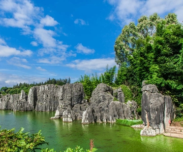 KunmingStone Forest Private Tour:Scenic Walks+Guide Insights