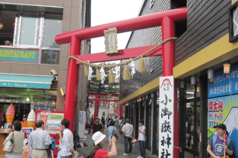 Tokyo: Mount Fuji, Gotemba Outlet, and Hakone Day Trip