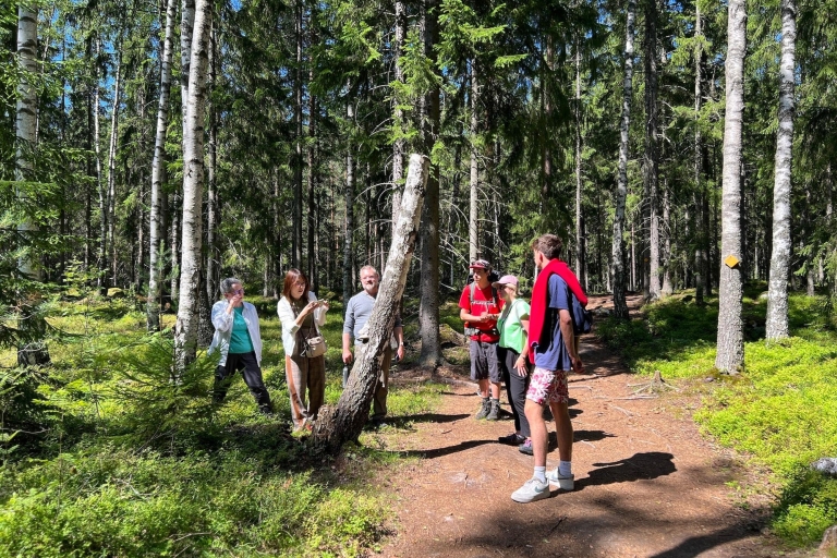 Excursión por el Parque Nacional y Experiencia en la Sauna Finlandesa de Humo
