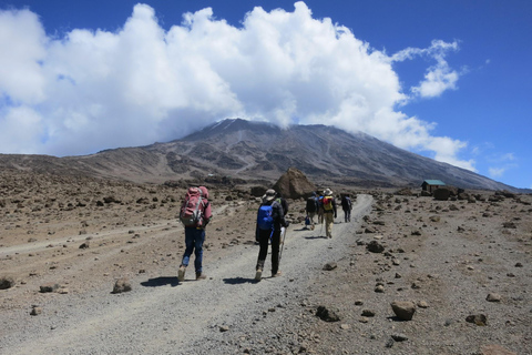 16-daagse Kilimanjaro, noordelijke safari en strand op Zanzibar