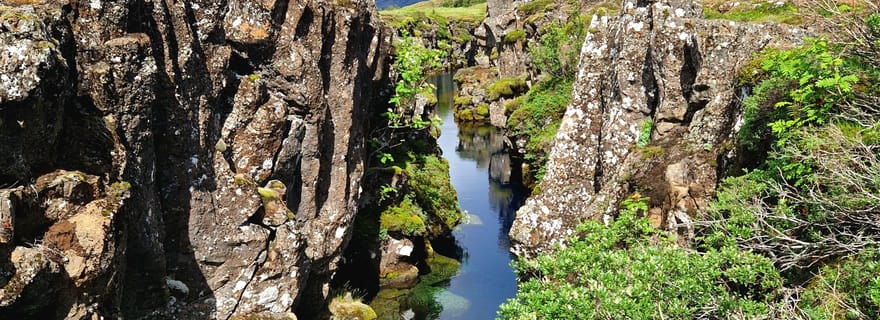 Visite privée de luxe du Cercle d'Or