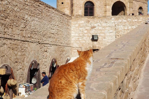 From marrakech: Explore Essaouira, Beaches & Local Culture