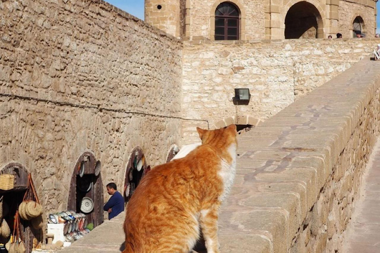 From marrakech: Explore Essaouira, Beaches & Local Culture