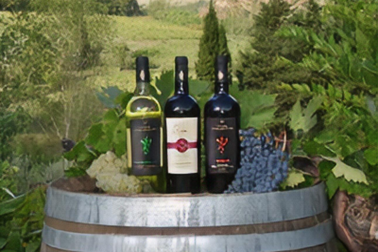 Peccioli: Wine tasting experience