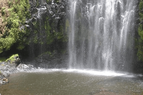 Moshi : Cascades de Materuni et visite de la plantation de café avec déjeunerMoshi : visite des chutes de Materuni et d&#039;une plantation de café avec déjeuner