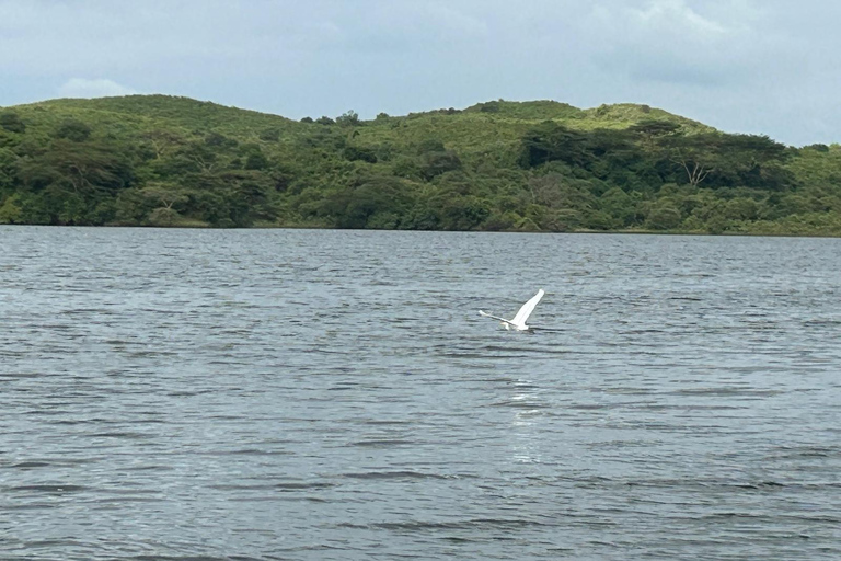 From Arusha: Arusha National Park Guided Day Trip