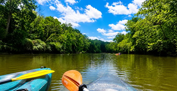 Mauritius: Grand River South East Guided Kayak Tour