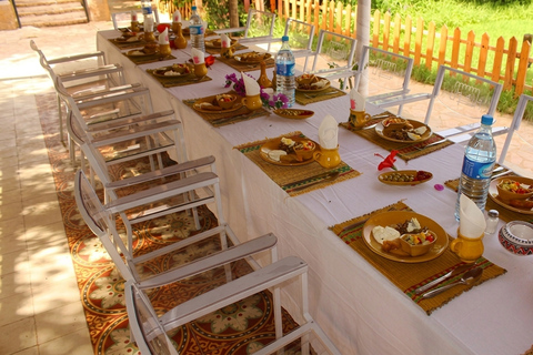 From Hammamet: Private Day Trip to Oudhna, Zaghouan, and Zriba El Olia Without a live guide