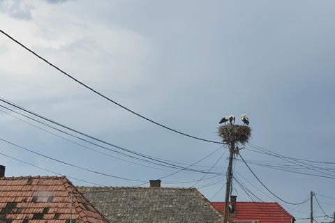 Van Boekarest: 13-daagse privérondleiding door Roemenië