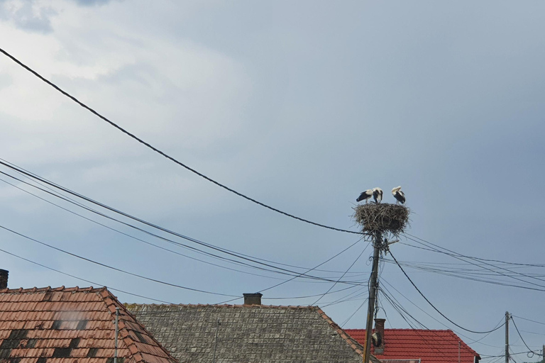 De Bucarest: visite privée de la Roumanie, de la Moldavie et de la Transnistrie