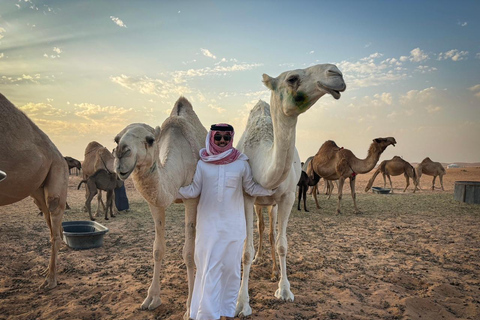 Riyadh: Camel Farm Visit in Heart Of The Desert