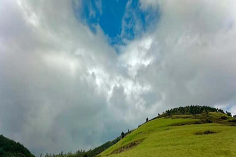 From Addis Ababa: Suba Menagesha Forest Hiking Day Trip