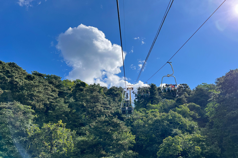 Visita a Pequim: Visita de um dia à Grande Muralha Mutianyu + Palácio de verãoVisita de um dia à Grande Muralha de Mutianyu + Palácio de verão