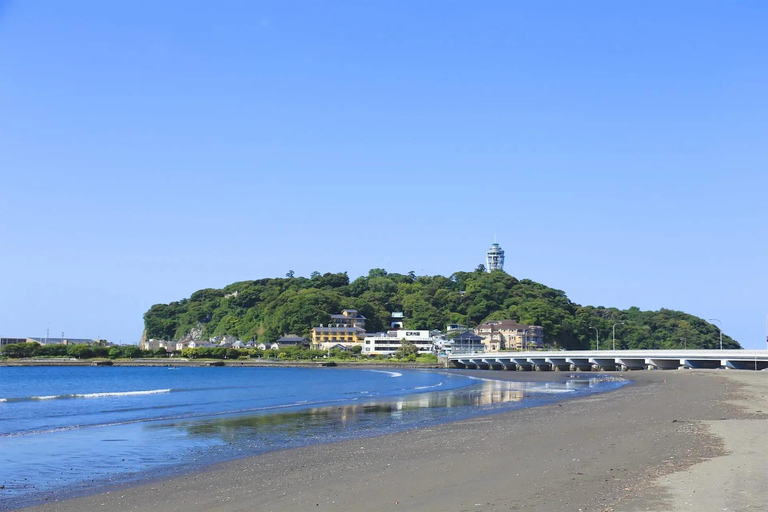 From Tokyo : Kamakura & Enoshima Island Private Day Trip