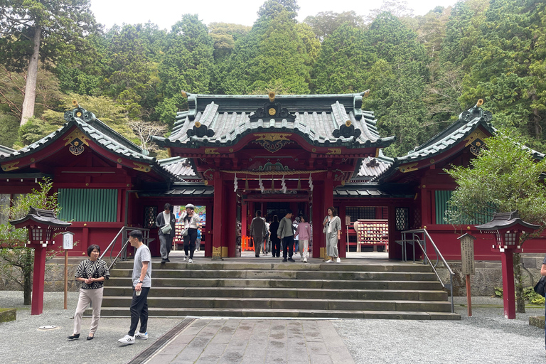 2- Days Private tour tokyo city & mount fuji or hakone tour