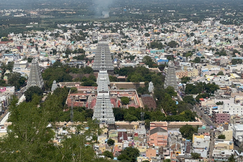 From Chennai 7 days Private Tamilnadu Chola Temple Tour