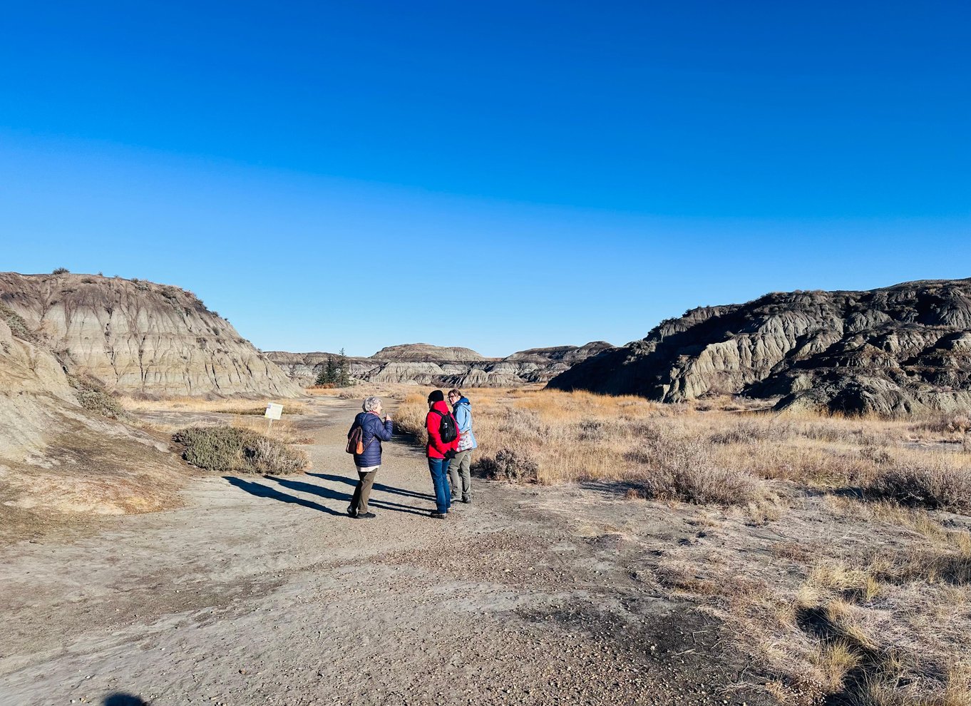 Badlands-tur: Drumheller med museum, hoodoos og dinosaurer
