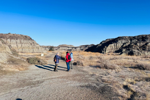 Badlands Tour: Drumheller with Museum, Hoodoos & Dinosaurs Booking Option for Summer 2026