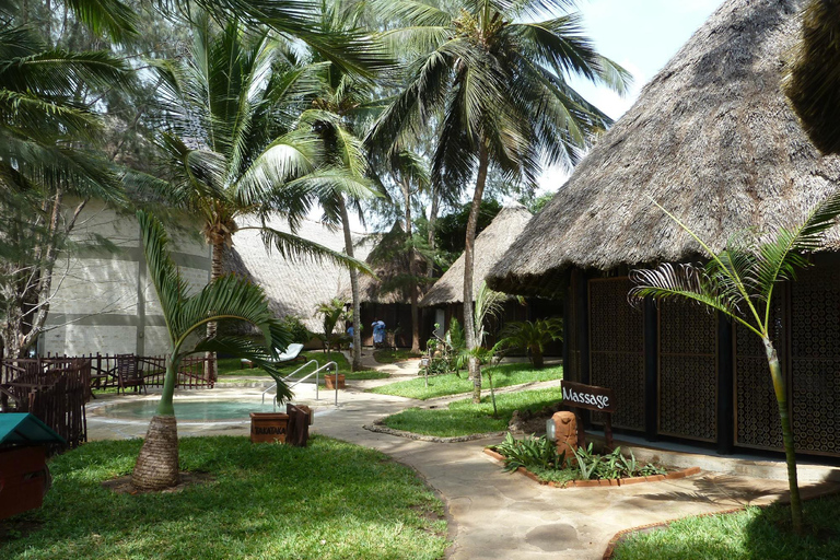 Jezioro Elementaita: Obóz Beduinów z aktywnościami i posiłkamiSPACERY PRZYRODNICZE I SADZENIE DRZEW NA TYM OBSZARZE