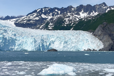 Anchorage: Glacier & Wildlife Discovery Tour (7-hours)