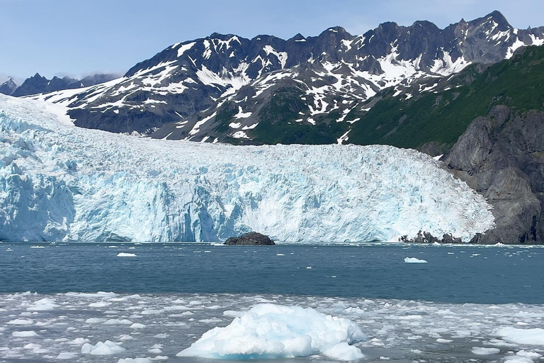 Anchorage: Glacier & Wildlife Discovery Tour (7-hours)
