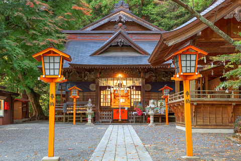 Mt. Fuji & Hakone Tour: Arakurayama, OshinoHakkai, Owakudani Tokyo Station | 7:30 AM Departure with English Guide