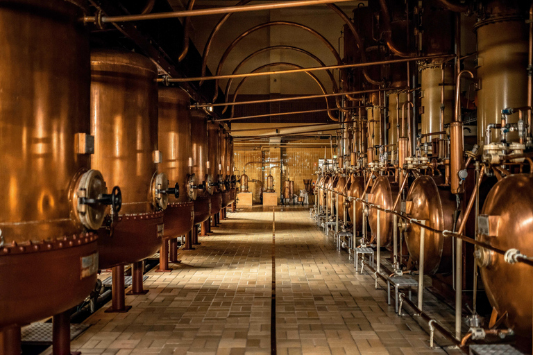 Cointreau Distillery: From Zest to Shaker
