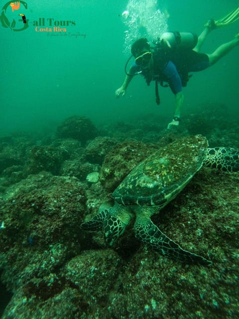 Snorkeling Tour in Tamarindo logo