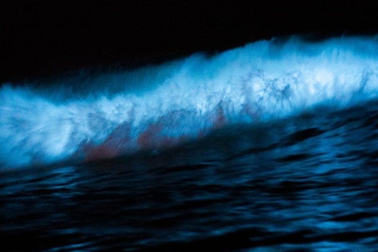 Cocoa Beach/Merritt Island:Bioluminescent kayak tour Single Kayak