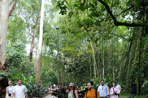 Medellín : plus qu'Escobar Visite guidée à piedMedellín : visite guidée à pied au-delà d'Escobar