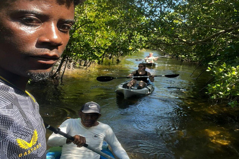 Zanzibar: Mangrove Kayak Tour with Snorkeling and Guide