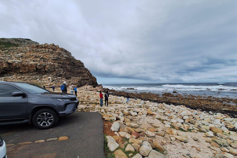 Tour particular pelo Cabo da Boa Esperança e Pinguins