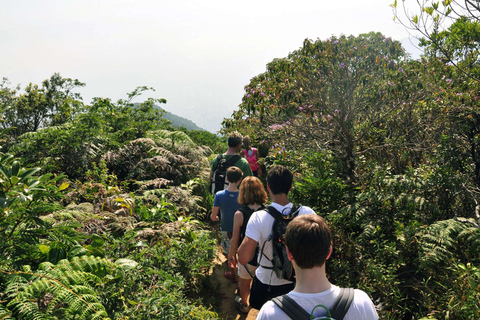 Rio de Janeiro: Zwiedzanie z przewodnikiem do Parku Narodowego Tijuca